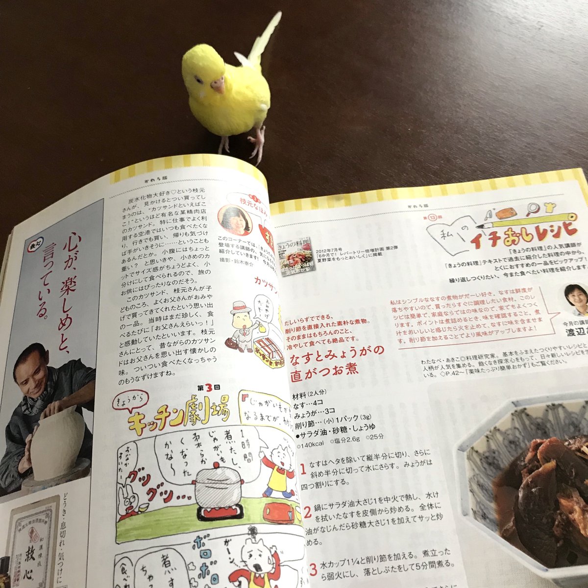 「きょうの料理」6月号の担当の絵は梅雨っぽいのや、じゃがいもの漫画を描きました(おいしい写真に誘われ鳥が来ました)。 