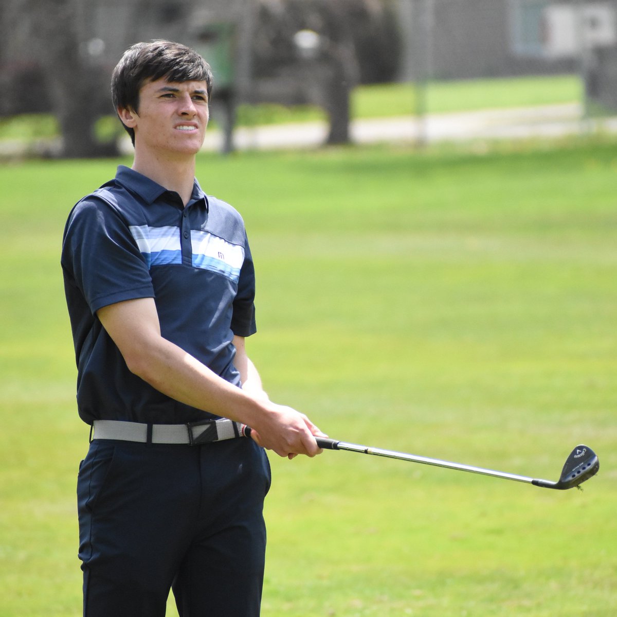 JasonESchmitt's tweet photo. Finally, time to unwind and distribute my work for the day - the Oakland County D1 boys golf tournament ...
STORY: https://t.co/VSGQkuqvRi
PHOTOS: https://t.co/tWa0N8QcS0
P.S. Noah (@manbridge1). You made the front "web" page of #MIPrepZone
@clarkstongolf @LODragonsGolf https://t.co/SbIa5G8fj6