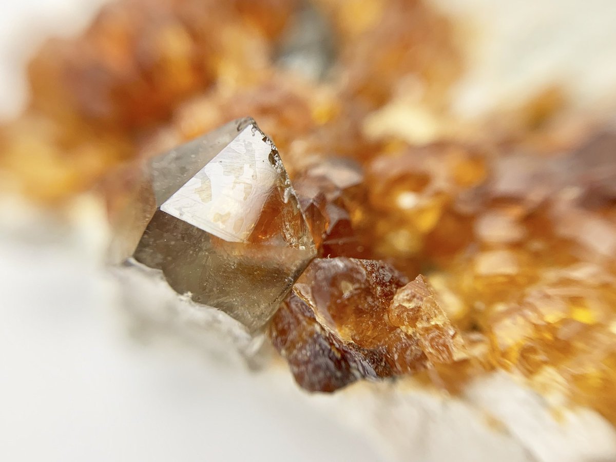 GEMandMShops's tweet photo. Smoky Quartz with Spessartine Garnet Inclusion - Cluster of Terminated Smoky Quartz and Orange Spessartine Garnets - Some of the Quartz Crystals Contain Garnet Inclusions (Pictured) — #GEMandM #Quartz #SmokyQuartz #Crystals #Garnets #Minerals #Rocks #Rockhound #Gemstones #Garnet https://t.co/fVuUQvDksG