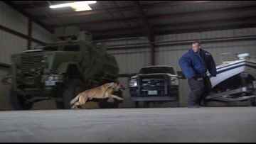 DarcyBirden's tweet photo. @TYLERPOLICEDEPT K-9 Izzie took home the top prize in a National Narcotics competition. 7 K-9s in #ETX places in the top 50 out of about 120 K-9s. @kytxcbs19 #NNDDA #K9
https://t.co/lMGSrUj2gF https://t.co/zvNKirLumq