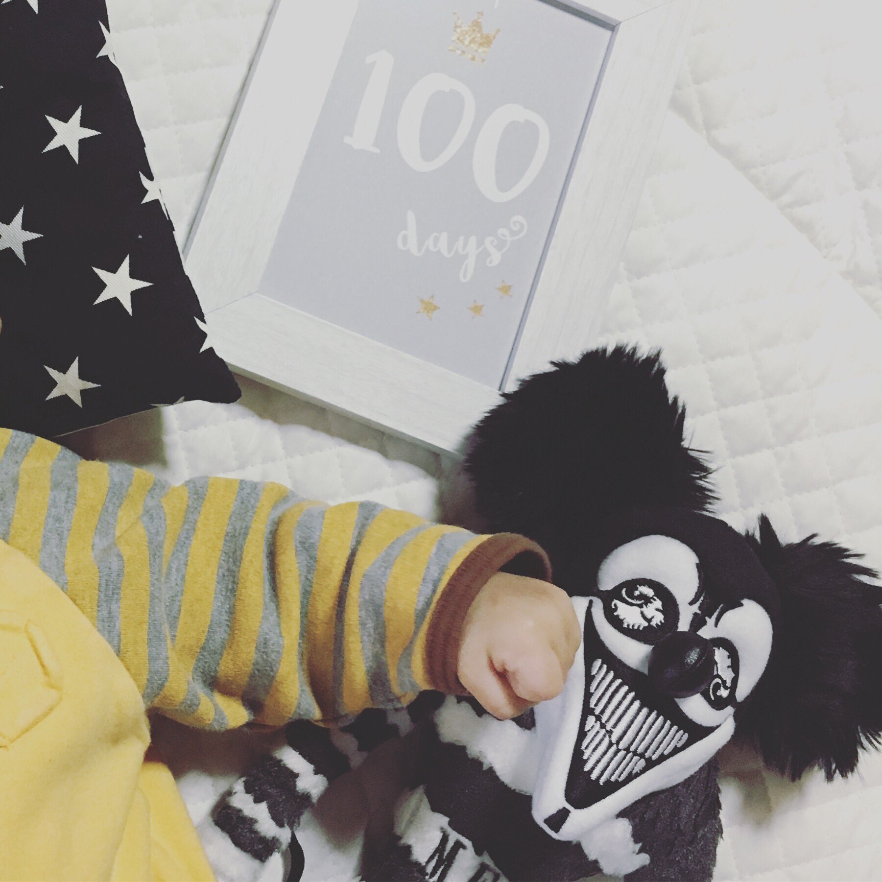非売品!! MY FIRST STORY MFS ぬいぐるみ　マイファス君 MY FIRST STORY マイファス マイファス君 ぬいぐるみ カプセル