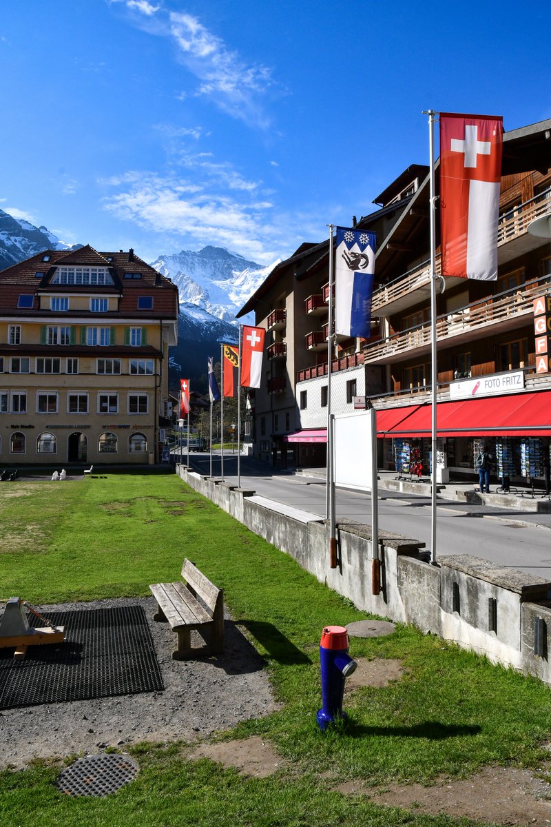 WengenSwiss's tweet photo. Good morning from Wengen. We have blue sky today and lots of colorful flowers. #wengen #inLoveWithSwitzerland #Switzerland #bluesky https://t.co/qKrvtValTs