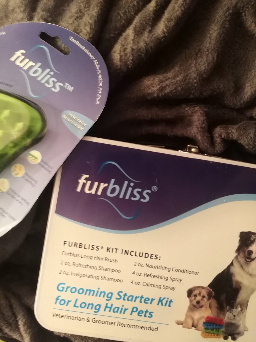 TheGingerSnob's tweet photo. https://t.co/3NFzoOcjkZ
#furbliss #furblissgrooming https://t.co/pDqmROvjuc