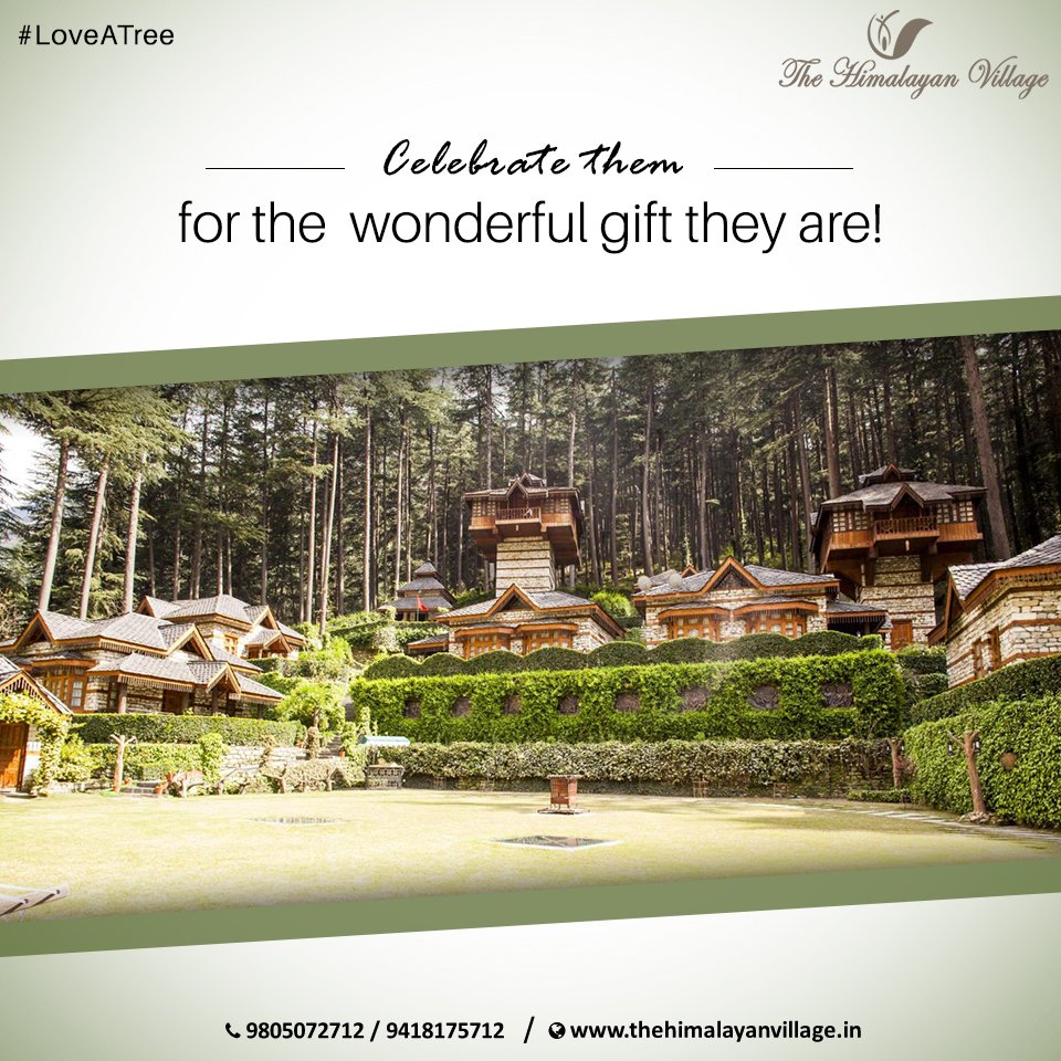 kailashathv's tweet photo. Trees &amp; environment are at the core of The Himalayan Village, our resort is surrounded by tall deodar trees around that encapsules our resort with thick fresh wind &amp; breeze, making it a heavenly abode!

 #Plants #Greenery #Green #Deodartrees #FreshWind #Breeze https://t.co/S7TI7SNiEW