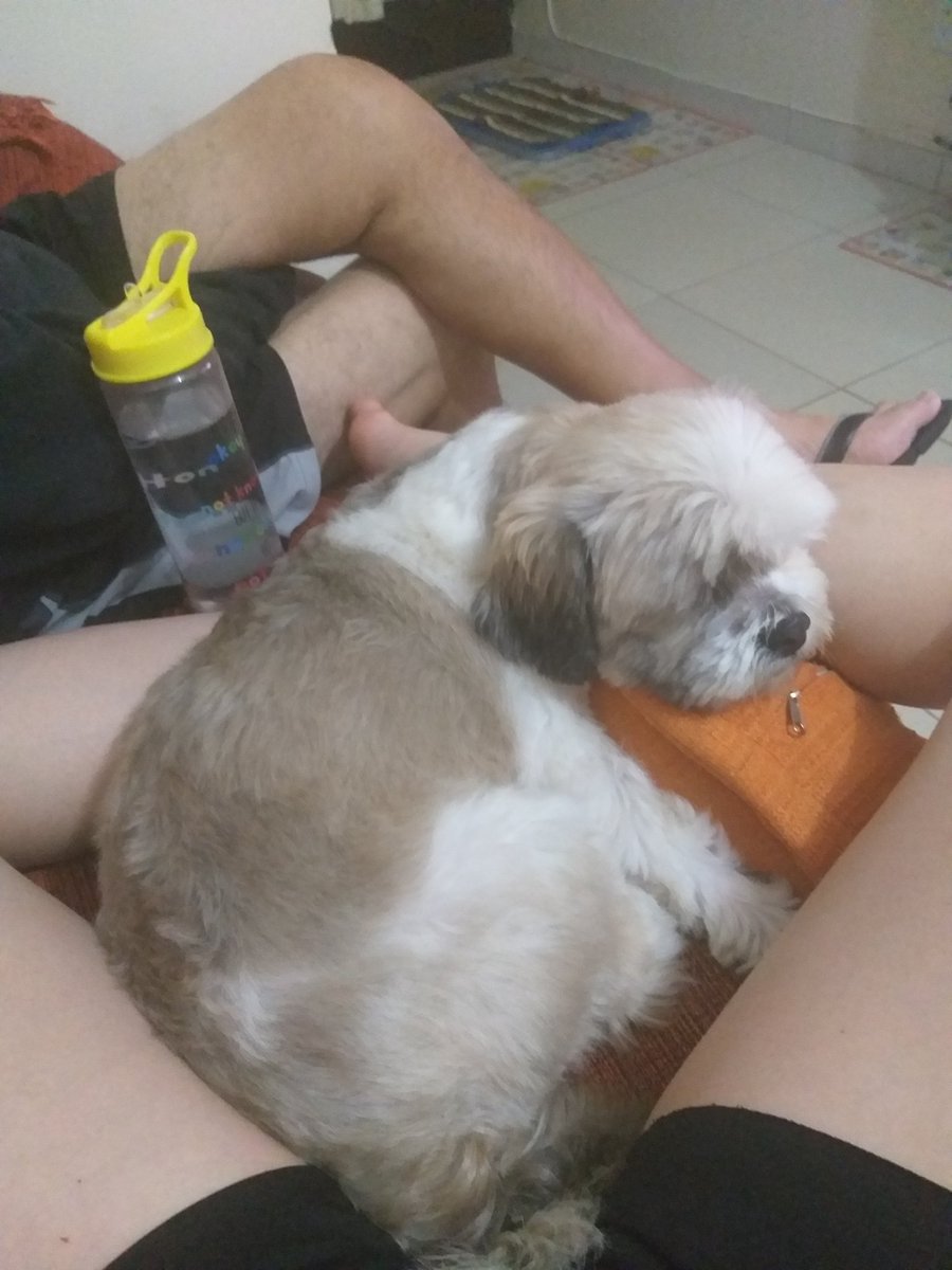 RafaPeressss's tweet photo. ELE NAO SE TOCA https://t.co/fRszXssajF
