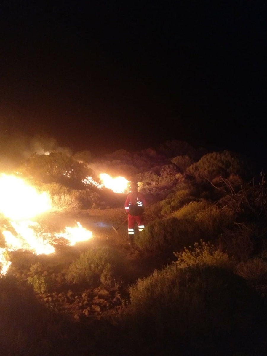 UMEgob's tweet photo. #IFTeide durante toda la noche un pelotón ligero ha estado atacando el imcendio en su flanco derecho con herramienta manual mientras un segundo peloton pesado ha establecido una Línea de Control con maquinaria de ingenieros https://t.co/UCyfDxlKHP
