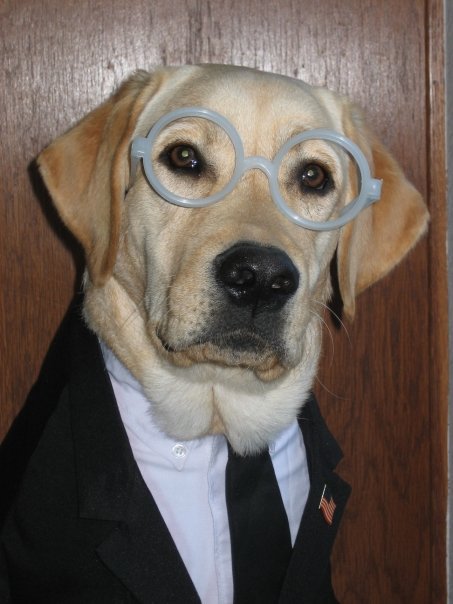 867-5309 (let the reader understand) tweet media