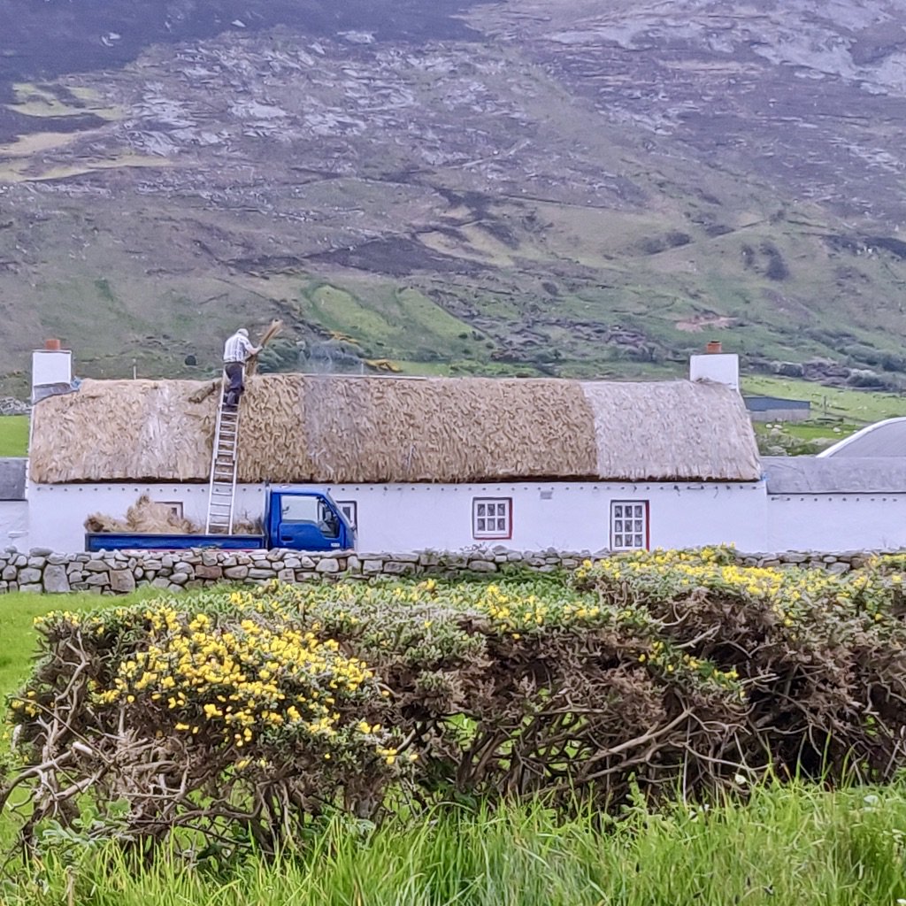 " 'I crowned the roofs with gold,' he said’
'I crowned the roofs with gold'."
A thatcher at work near Clonmany, Co Donegal yesterday #GoVisitDonegal #WildAtlanticWay #DiscoverIreland #picoftheday