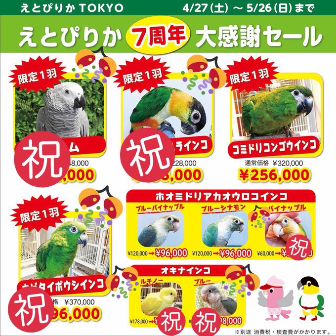 えとぴりかtokyo Etpkbird Tokyo 19年05月 Twilog えとぴりかtokyo Etpkbird Tokyo 19年05月 Twilog