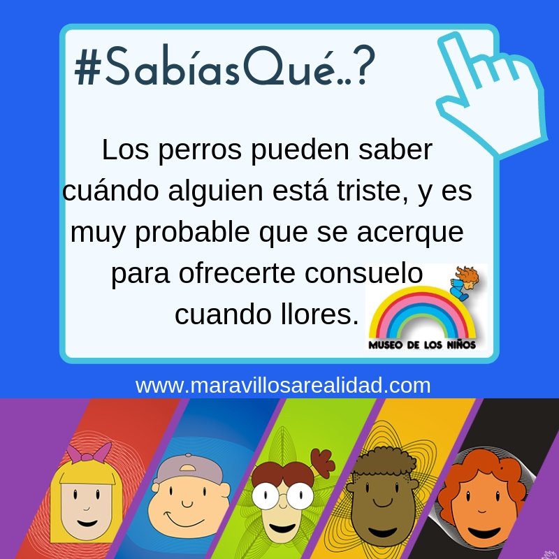 Museo de los Niños on Twitter: "#Sabías qué...? Las curiosidades ...