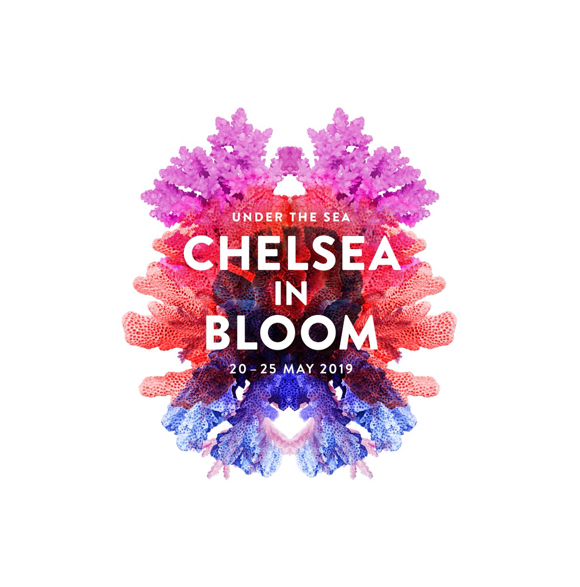 Four more days till the most competitive date in the floristry calendar! Eeeep! Scissors at the ready guys..... #ChelseaInBloom