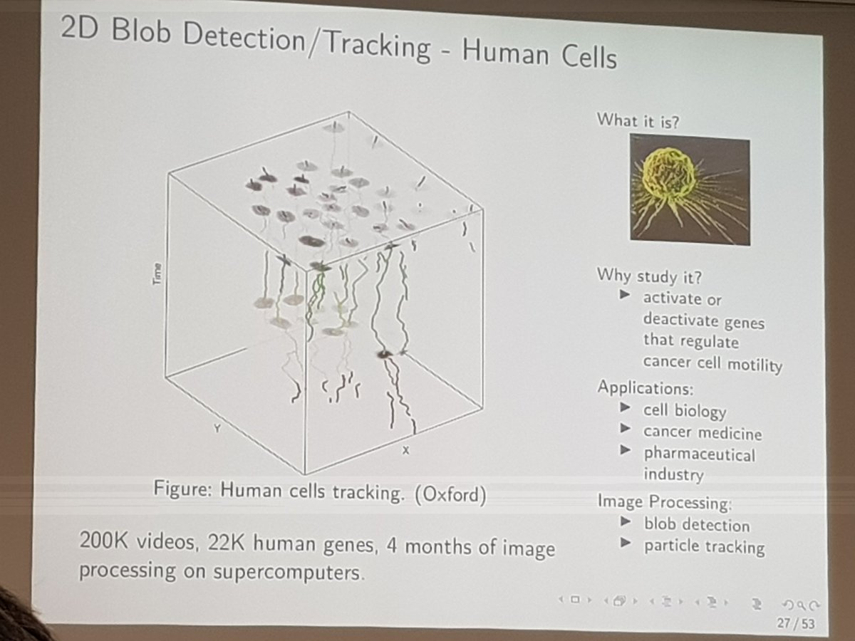NASK_pl's tweet image. #BlobDetection - badania nad nowotworami z @UniofOxford: 200 tys. filmów, 22 tys. badanych genów, 20 laboratoriów, 4 miesiące prac na superkomputerze - kluczowe dla powodzenia badań jest odpowiedni standard obrazów - prof. Obara w @NASK_pl #AI