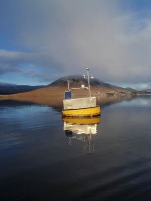 Looking for long term high resolution lake data? Here's 14 years worth of data from Lough Feeagh, available for viewing and analysing #openaccess #BurrishooleLTER <a href="/MarineInst/">Marine Institute</a> <a href="/GLEONetwork/">GLEON</a> <a href="/eco4cast/">Ecological Forecasting Initiative</a> @mantel <a href="/WATExR/">WATExR</a> <a href="/PROGNOSproject/">PROGNOS_project</a> <a href="/EPAResearchNews/">EPA Research News</a> 
data.marine.ie/geonetwork/srv…