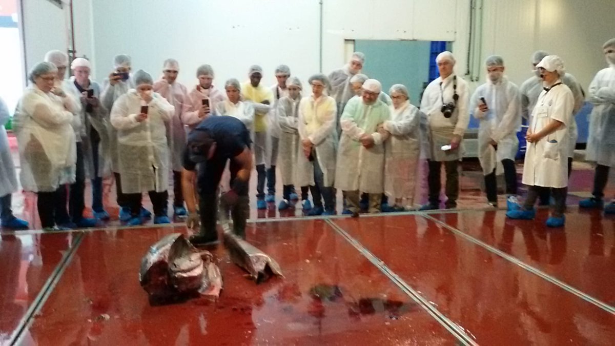 Visita al Eco museo Molino de El Pintado en Ayamonte y <a href="/usi_sa/">USI SA</a> 👉Seminario 'Ayer y Hoy del Patrimonio Marítimo y Pesquero Onubense.

#PEHU <a href="/DipuHU/">Diputación de Huelva</a>