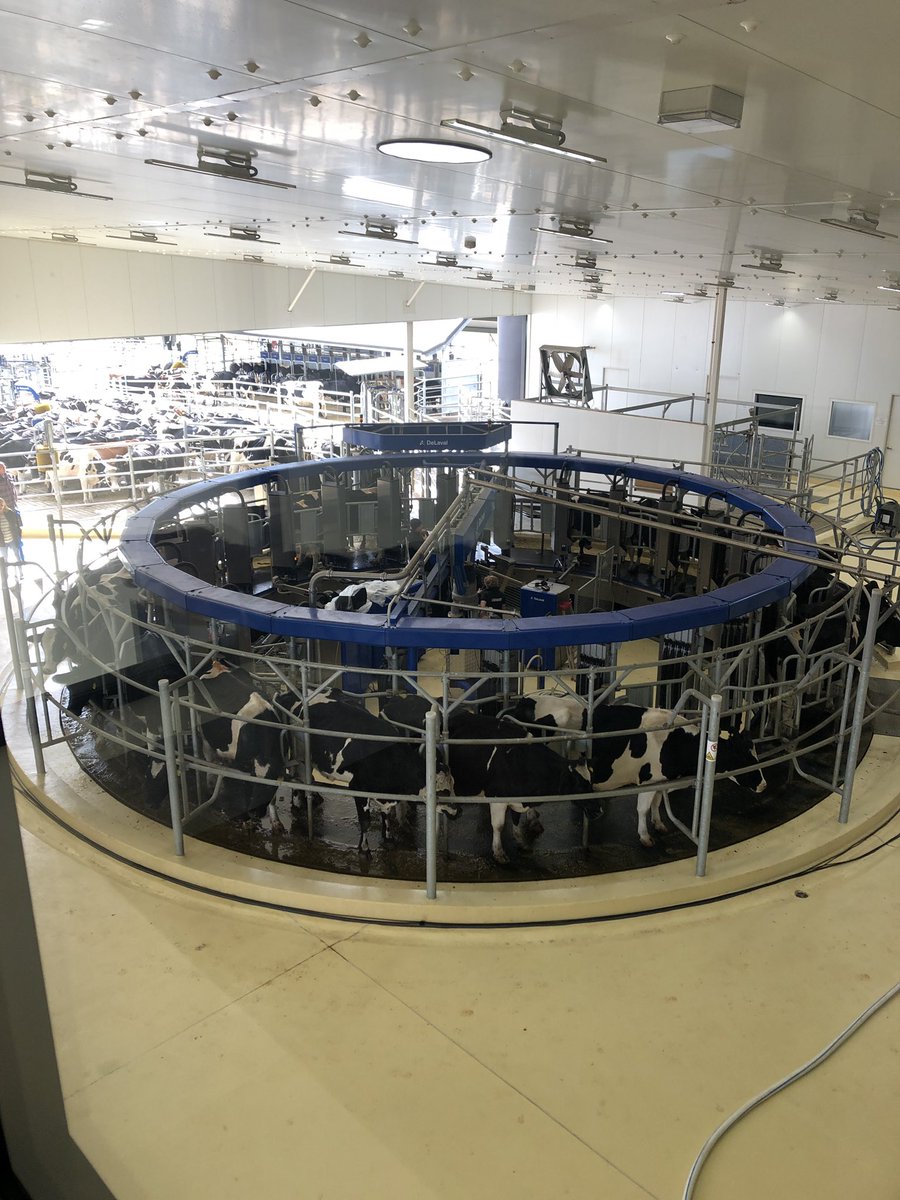 growitsam's tweet photo. Who ever thought dairy farming was low tech has not been to #bannisterdowns #DID2019 #westerndairy https://t.co/S5TRBf3F03