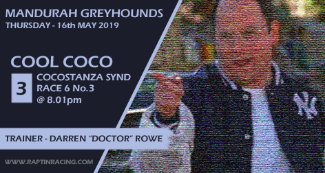 RaptInRacing's tweet photo. We're all George Costanzas occasionally wanting a cool nickname like T-Bone but sometimes you end up being called Coco! The Cocostanza #syndicate kicks off tonight with Cool Coco at @greyhounds_wa #Mandurah  #Seinfeld #georgecostanza #greyhound #Racing #winners #cocothemonkey https://t.co/3fvQbTOMBx