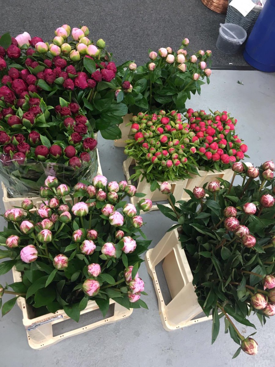 We are swooning over the latest delivery of fresh flowers at our #Leicester store. Here's a sneak peek of a special customer order ready to be arranged for a wedding this weekend 😍

Find out more about our fresh flowers:
whittingtons.biz/flowers

#FreshFlowers #Florals #Wedding