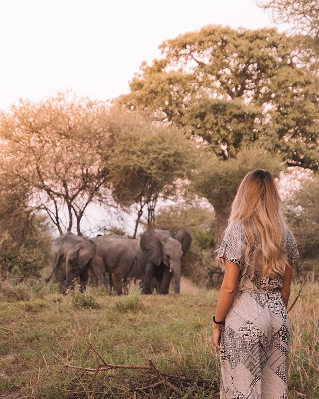 Close encounters in Tarangire
📷 by <a href="/palomafts/">Paloma Fts</a>
#HereIsTanzania