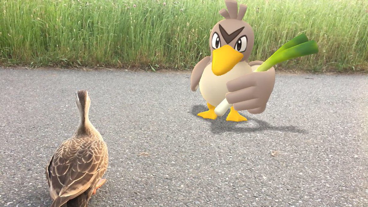 カワウソ Twitter પર カモ対カモネギ ポケモンgo