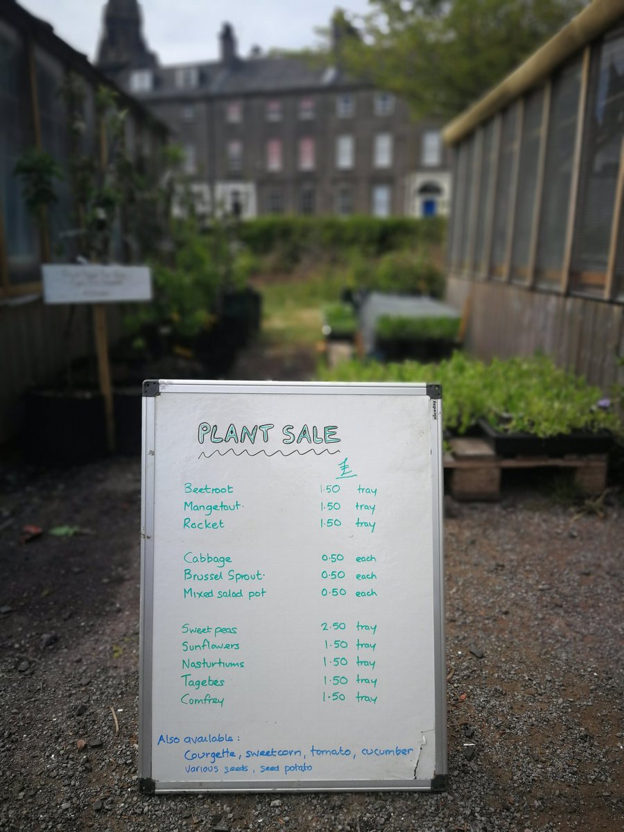 Earth_in_Common's tweet photo. Plants for sale down on the croft - drop by and have a browse! https://t.co/3t7ZtJZ6yv
