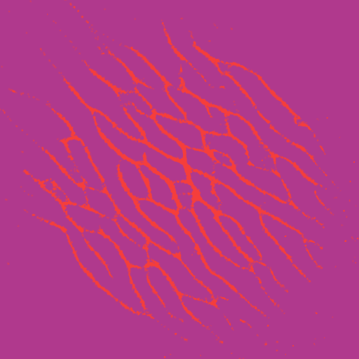 Emil Wasberger tweet media