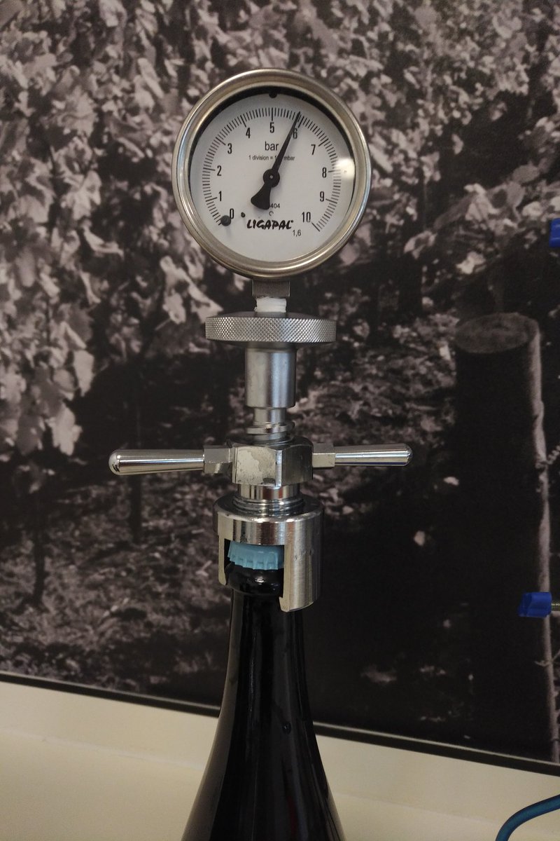 GreatrixBrad's tweet image. The first of the &apos;18s crossing over from fermentation to maturation @Nyetimber #TraditionalMethod #Patience