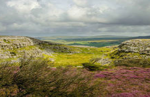 Ecosystems Knowledge Network tweet media