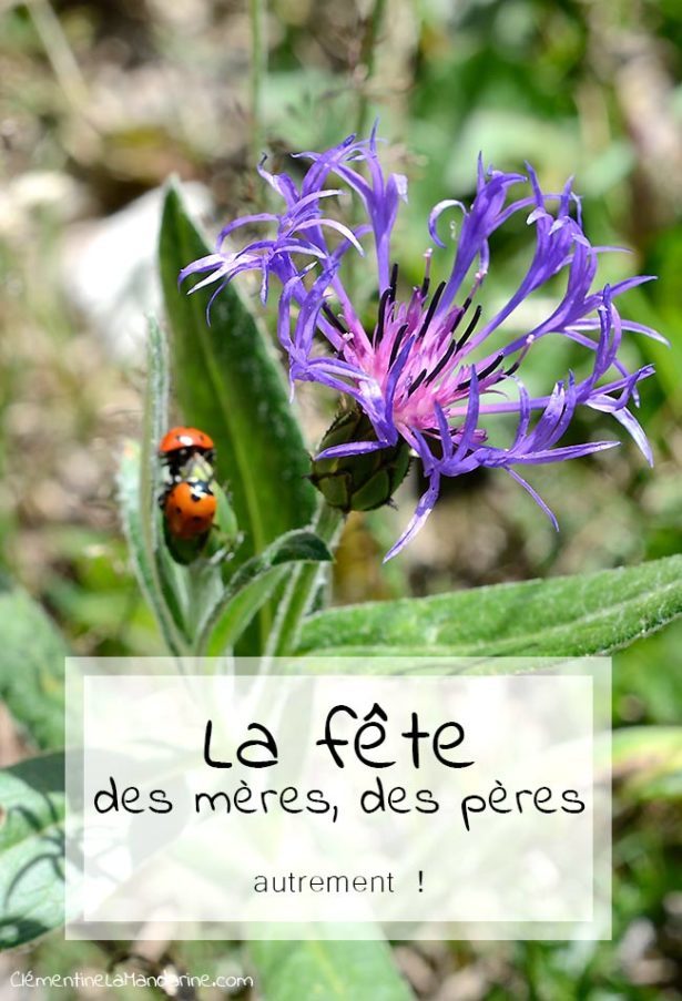 Pour une fête des mères (et des pères) non consumériste