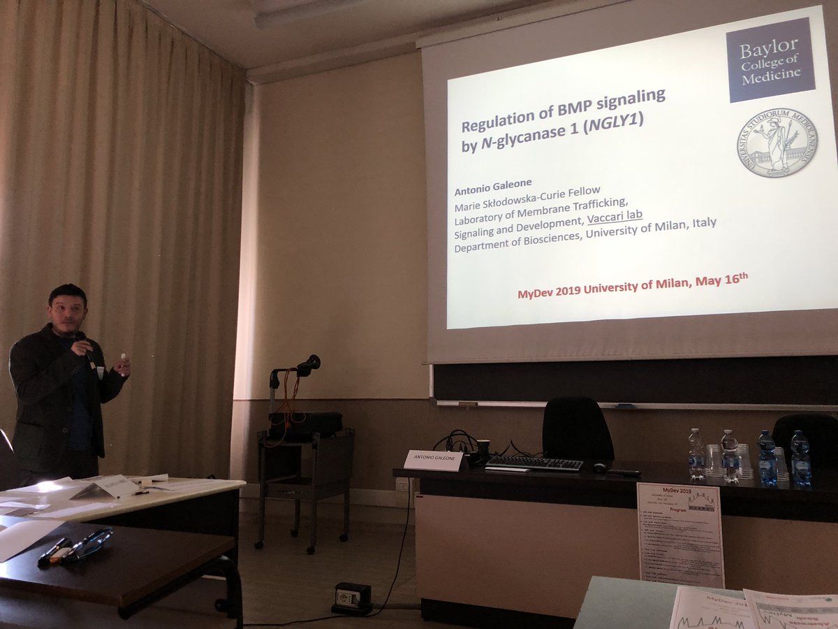 MyDEV23's tweet photo. Antonio Galeone - “Regulation of BMP signaling by N-glycanase 1 (NGLY1)
#MyDev2019 https://t.co/GirRk12P2F