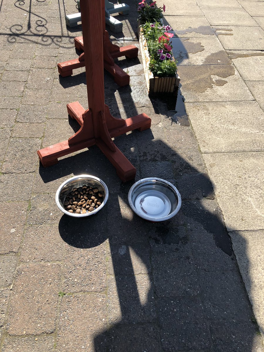 Today’s special is ‘turkey, sweet potato and cranberry. #doggydiner #pitstop