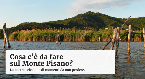 Monte Pisano tweet media