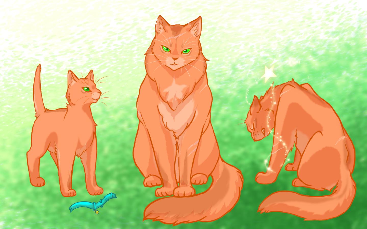 “FIRE

#warriorcats
#ウォーリアーズ猫” .