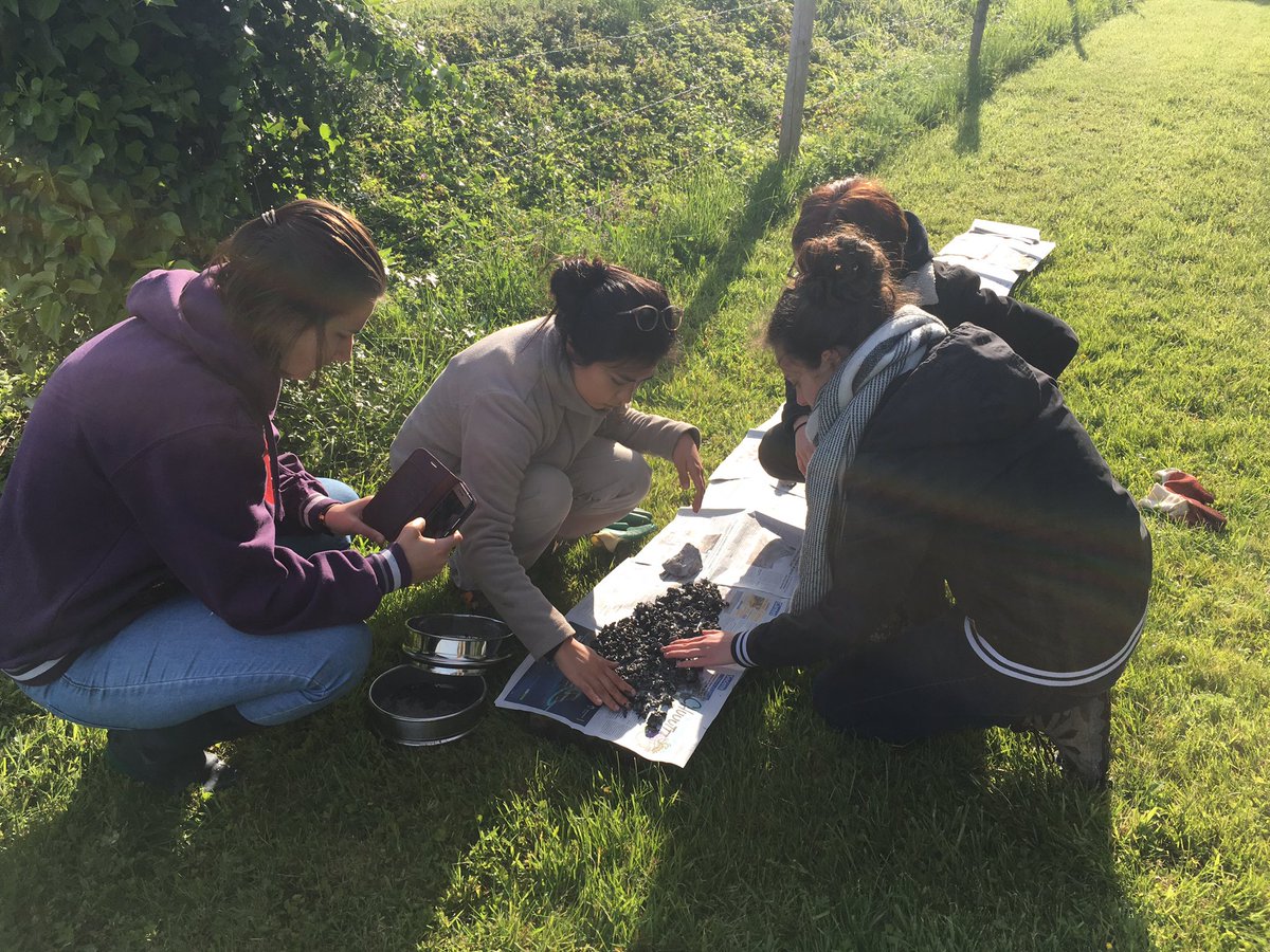 melliott_paris's tweet photo. Atelier fouille ethnoarchéologique et flottation de macrorestes végétaux lors du stage de terrain, Master Archéologie et Environnement. #UFR03 de @SorbonneParis1 et #UMRArscan. #ArchEnv @MAENanterre #MasterRecherche https://t.co/EvFSpp2dhh