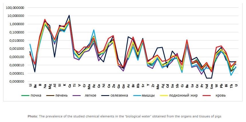 EGetalo's tweet image. TPU scientists establish a link between composition of water in living organisms and environmental effect news.tpu.ru/en/news/2019/0… #technogenesis  #biogeochemistry