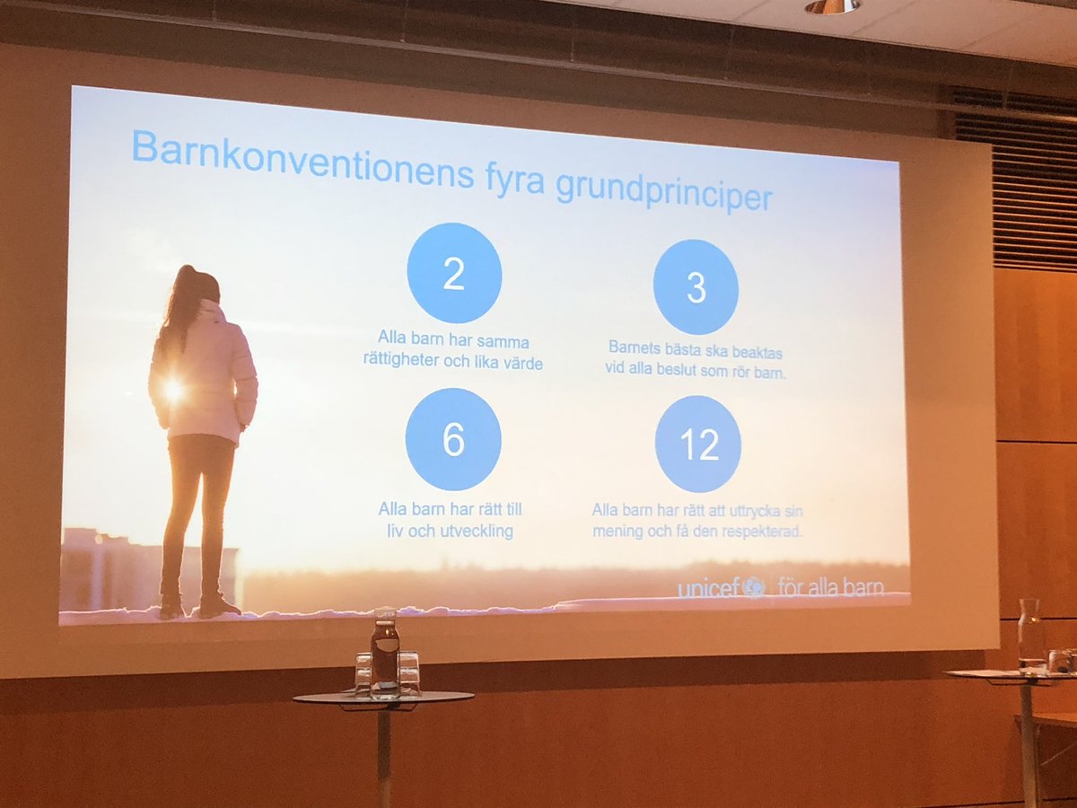 Utvärderingsringens konferens kring ”Ungdomar och deras fritid”! Nu barnkonventionen blir lag 1 januari 2020💪!