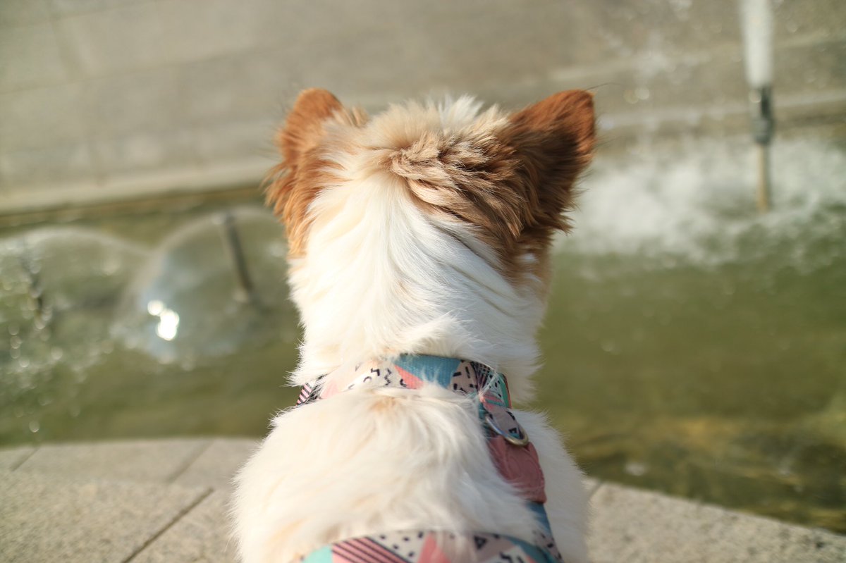 분수가 신기한 숙희