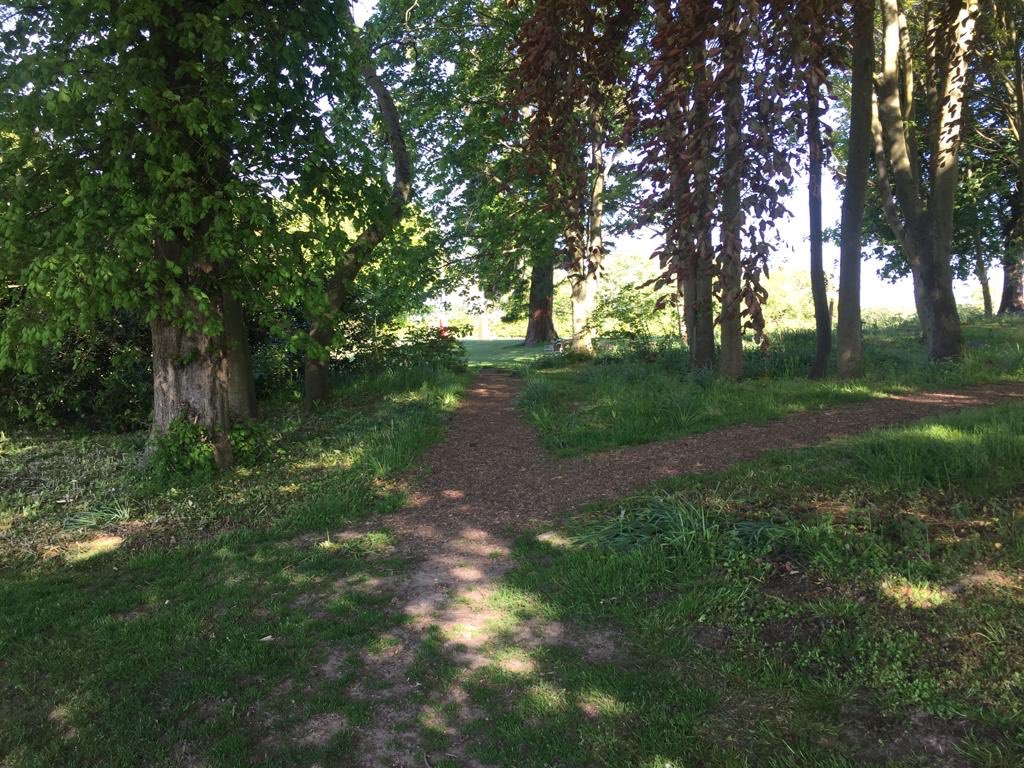 Just look at the place!? 

<a href="/NorthWalshamRFC/">North Walsham RFC</a> has never looked so good! 

Can’t wait to have you all join us on Saturday to show off Scottow! 

#grassgoals #rugger