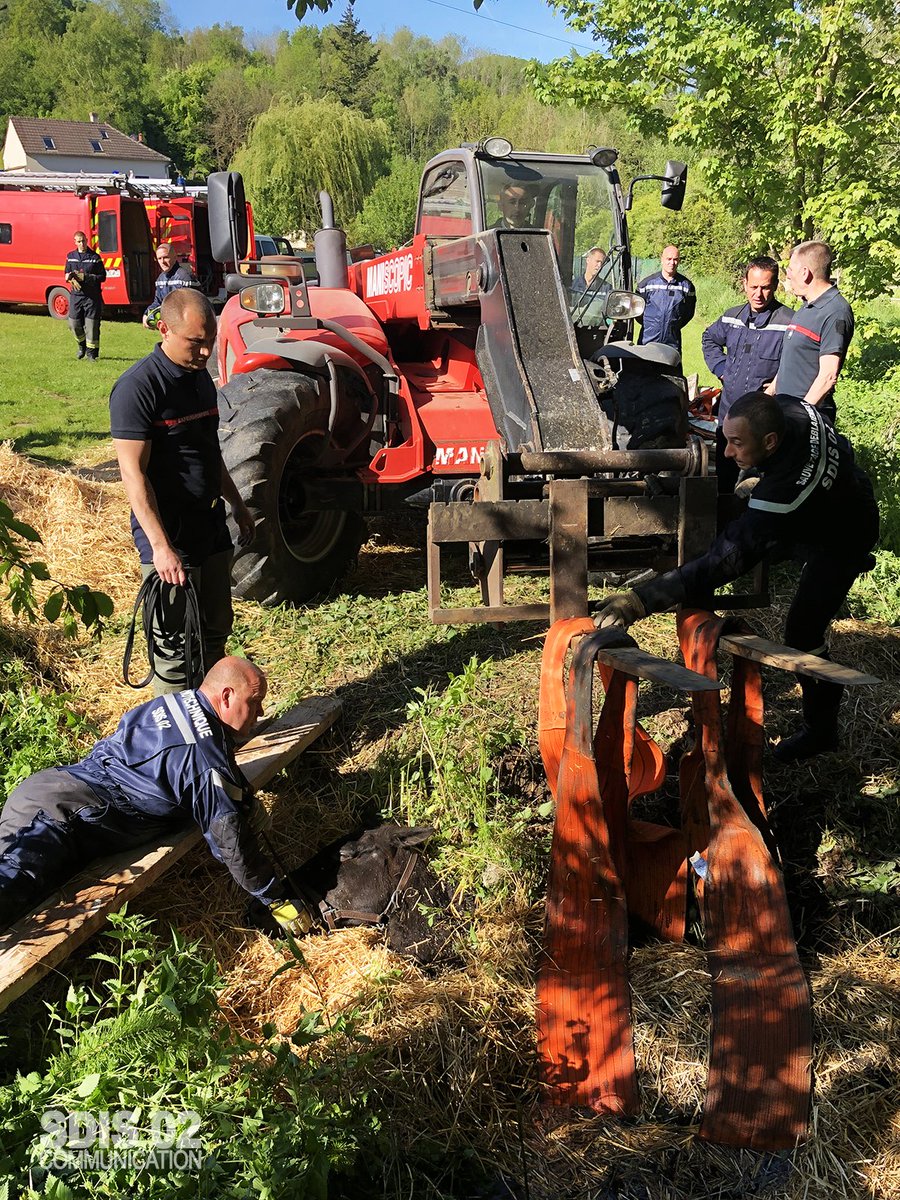 Sdis02's tweet photo. [Intervention] 🚒🐴Mardi dernier, la mobilisation et l'engagement combinés des équipes #sauvetagedéblaiement et #sauvetageaquatique ainsi que du #vétérinaire du @sdis02 ont permis de sauver une #jument enlisée jusqu'au garrot ‼️ dans le cours d'eau "le Clignon" #Monthiers #Aisne https://t.co/kd0piM14jk