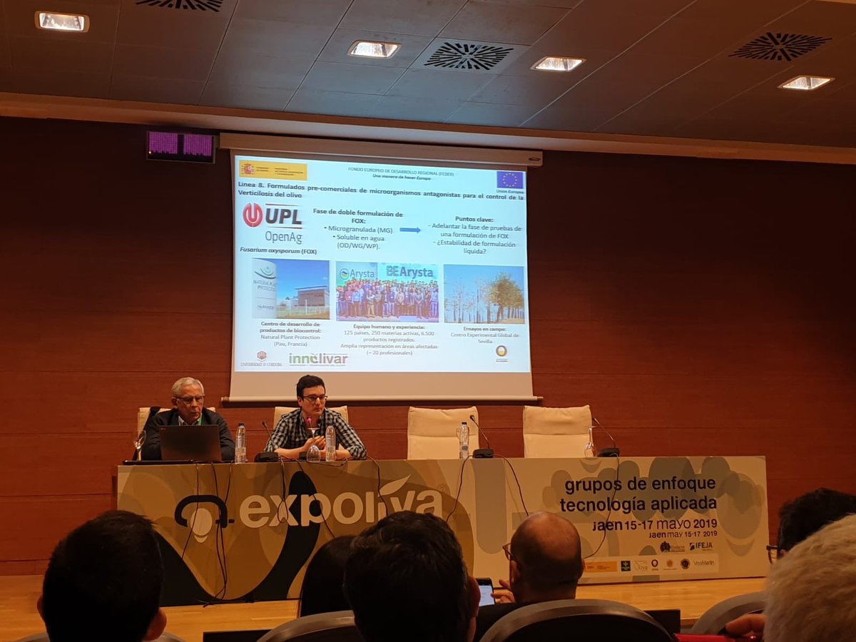 🔝🔝🔝Presentación de la propuesta de #Upl para el proyecto #innolivar en #expoliva2019