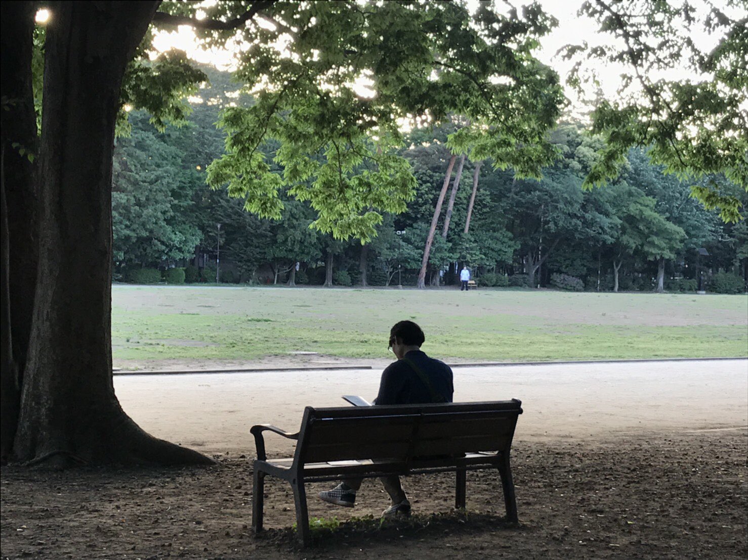 Qp 在 Twitter 上 井の頭公園のベンチに座って さっきのツイート書いてたら 後ろから女の人が声をかけてきた きれいな写真撮れたからぜひその写真送りたいと言って いまいち事態がよく飲み込めなかったけど とにかくラインを交換することになった そして おれの Qp 在 Twitter 上 井の頭公園のベンチに座って さっきのツイート書いてたら 後ろから女の人が声をかけてきた きれいな写真撮れたからぜひその写真送りたいと言って いまいち事態がよく飲み込めなかったけど とにかくラインを交換することになった そして おれの