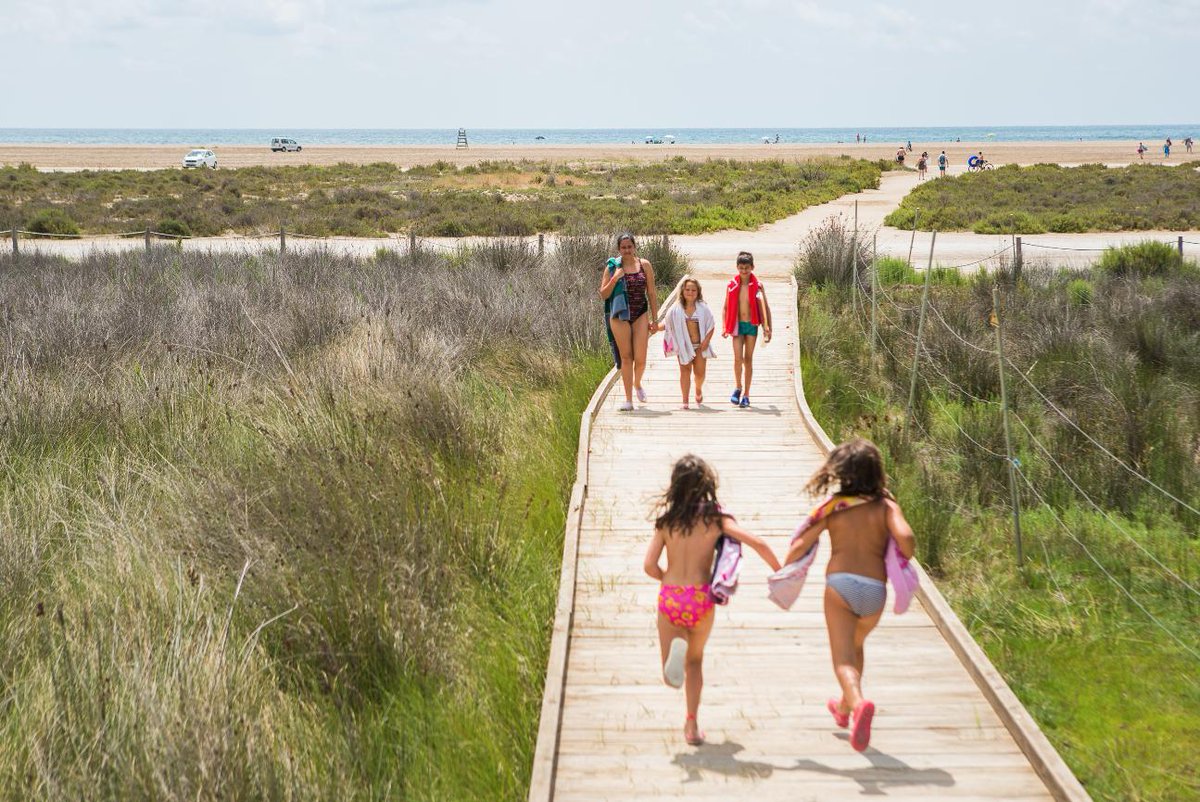 CampingsTgna's tweet photo. Camping Eucaliptus: al cor del #DeltadelEbre i amb accés directe al mar! 🐚🌴💦
#CampingsTarragona #UniqueCampingDestination https://t.co/rfsep1pEPN