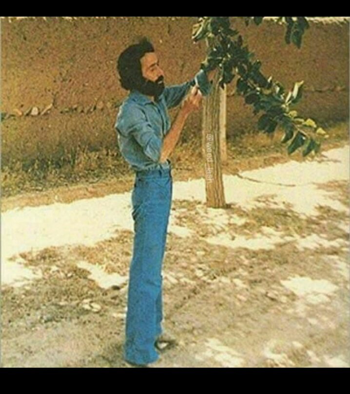 dictator_akhari's tweet photo. جلال آل احمد کونشو سمباده کشیده!؟
یا کلا مادرزادیه! 😐😨 https://t.co/INi92VZqnK