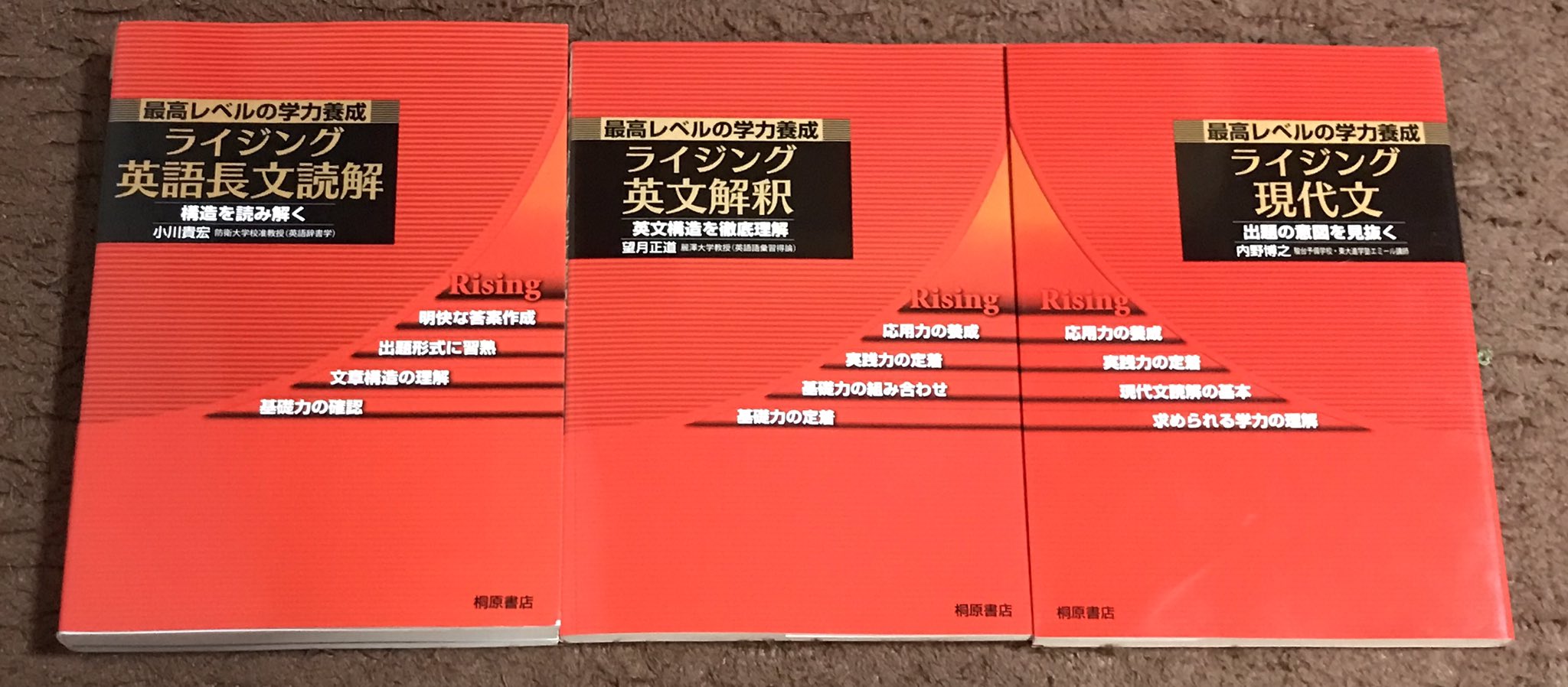 ライジング現代文 　初版　大学受験　絶版　書き込み無し　内野博之　駿台　東京大学 美品】【未使用】ライジング現代文 最高レベルの学力養成 - メルカリ