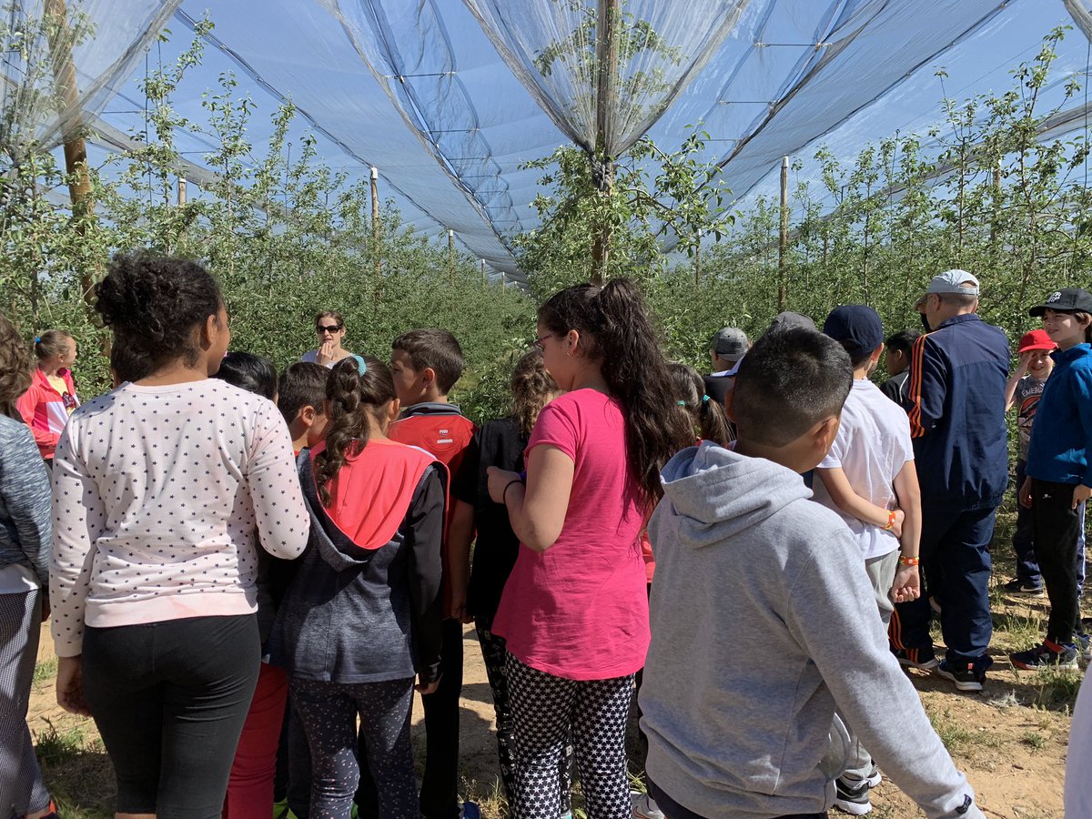 CEIPGonzalodeBerceo tweet media