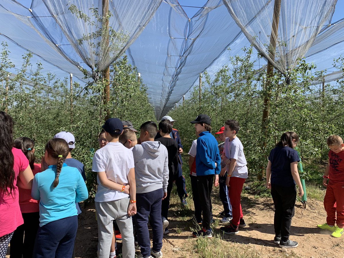 CEIPGonzalodeBerceo tweet media