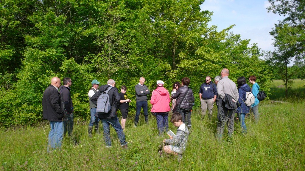 Alcune immagini dell’escursione al Bosco di Bandiziol dell’11 maggio  secondo appuntamento del Corso di riconoscimento delle erbe spontanee primaverili del #progettoBIO