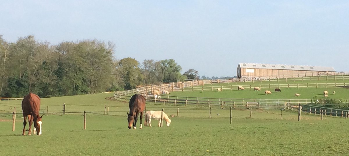 We are proud to support Community Business Weekend celebrating communities in England who are using business to transform where they live #CBWkd19 #carefarm #CommunityBusinessMatters