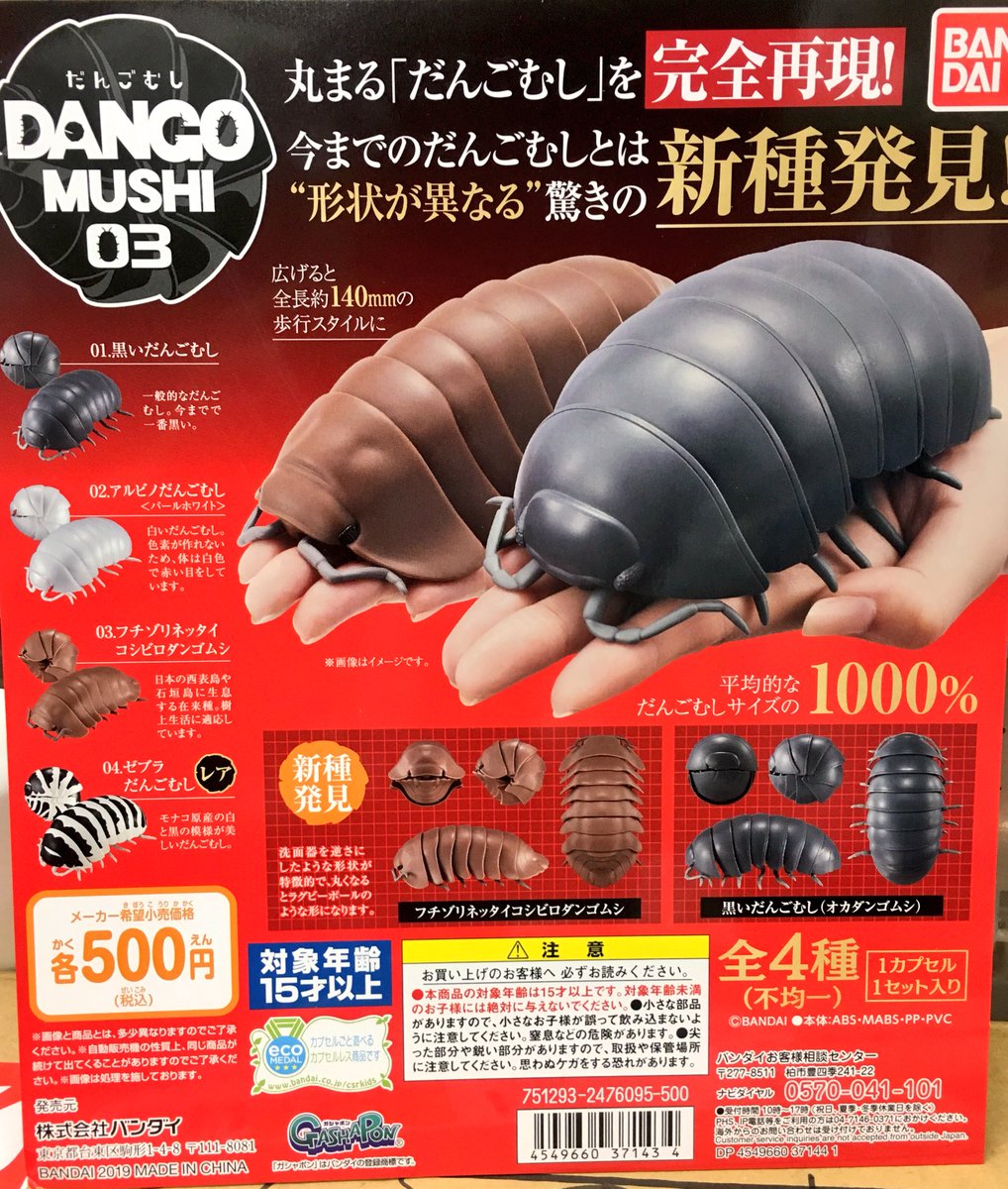 緊急入荷 》 ---だんごむし 03--- DANGO MUSHI 03 丸まる「だんごむし