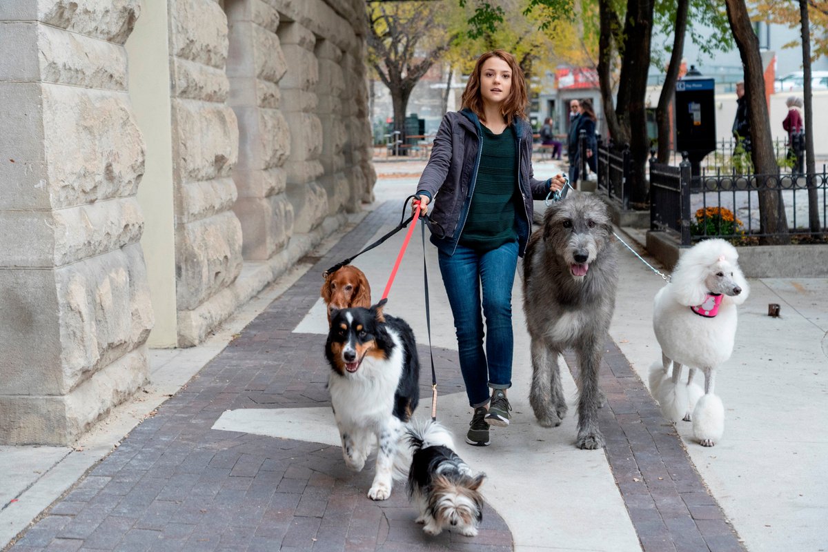 mid_day's tweet photo. Here are the questions for #ADogsJourney Contest!

Q1) Name the writer of A Dog's Journey movie.
Q2) A Dog's Journey movie is based on which novel?
Q3) What is the release date of A Dog's Journey movie?

@Bazinga_Ent @RelianceEnt #MiddayMovies https://t.co/LHDalhS6u2