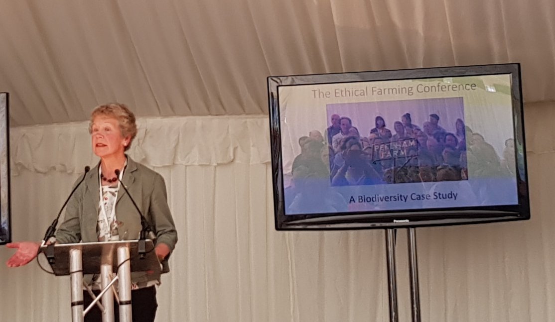 sarah_skerratt's tweet photo. The wonderful #walkingthewalk Denise from organic @PeelhamFarm speaking @EthicalFarming conference.
*Driven* by #biodiversity 
Must establish biodiversity *structures* made up of corridors, flow, "patching up the matrix". Create *connections* to overcome habitat fragmentation. https://t.co/xpcEaCp1yt
